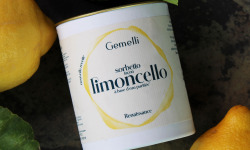 Gemelli - Gelati & Sorbetti - Sorbet Limoncello 400ml