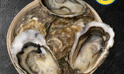 Le Termer - Huîtres de Normandie IGP N°2-18 Pièces "Saveurs de Normandie"