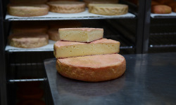 Alléosse Maitre Artisan Affineur Fromager - Munster au lait cru  AOP affiné à l'eau de vie de Mirabelle (entier)