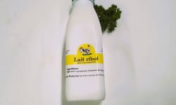 Ferme de la Paumerais - LAIT FERMENTE "RIBOT" (x1) - 50 Cl