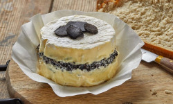 Plantin - L'art de la truffe depuis 1930 - Brillat Savarin à la truffe noire 10% - 125g