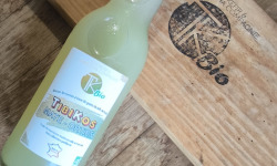 TK Bio - The Kefir et Kombucha Compagnie - TibiKos Maté Orties (Kéfir)- 12x33cl BIO