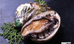 Brest Marée - Ormeaux - 1kg