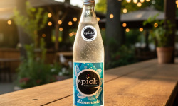 Bière L’Eurélienne – Brasserie de Chandres - LIMONADE Apick! bouteille de soda 1L