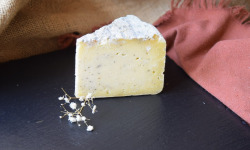 Dégustonfoin - [Précommande] Tomme de vache au poivre - BIO