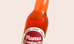 Mama Kombucha - Lot de Kombucha Acapulco 12 X 33cl - Kombucha Baies de sureau, Fruits séchés