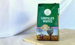 BERRY GRAINES - Lentilles vertes origine France - sachet 350g x10