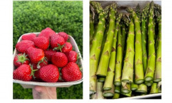 Domaine Reverchon - Lot Asperge verte 2kg et 1kg fraise clery