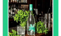 Sapio Spirits - Liqueur de Menthe BIO