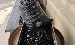 Fine de Cancale - Moules AOP du MONT SAINT MICHEL - 1.7Kg