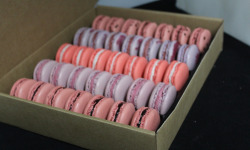 Les Macarondises - 35 Macarons Fruits Rouges