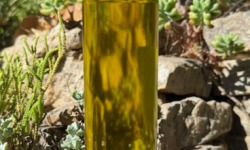 L'OLIVERAIE DU COUDON - Huile d'olive à la truffe noire bouteille 250ml  (Préparation à base d’huile d'olive)