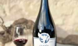 Domaine de la Chopinière du Roy - Vin Rouge Saint Nicolas de Bourgueil 2022 Magnum 1,5 litres