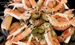 Le Termer - Plateau de fruits de mer 1