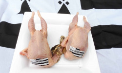 Cailles de Chanteloup - Colis de 10 cailles prêtes à cuire avec tête vrac calibre 220/240 gr