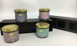 TK Bio - The Kefir et Kombucha Compagnie - Coffret cadeau sels fumés bio artisanal