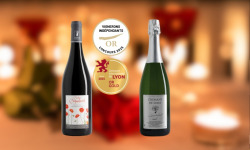 Domaine de la Chopinière du Roy - Coffret Saint Valentin - Vin de Loire Rouge et Blanc pétillant - 2 x 75 cl