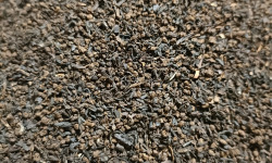 Rébecca les Jolies Fleurs - Thé anglais