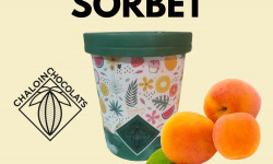 Chaloin Chocolats - Sorbet Abricot de Provence