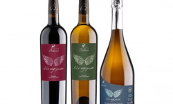 Château Balsamine - Lot AOC Gaillac “Un Ange Passe” – Château Balsamine – 2 Rouges, 2 Blancs, 2 Bulles – 6x75cl