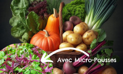Les Jardins de Champlecy - Panier De Légumes De Saison + 1 Barquette De Micro-pousses