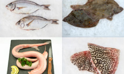 Godaille de l'Armement Cherbourgeois - En Direct du Bateau - Box du Pêcheur - poissons de saison - Colis de 4kg