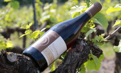Domaine Daridan - Vin AOC Touraine Rouge 75