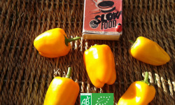 LES JARDINS DE KARINE - Poivrons oranges mini - 100g