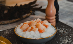 Thalassa Tradition - Noix de Saint Jacques Coraillées - 400 g