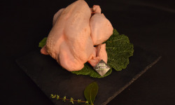 La Ferme des Peupliers - Poulet fermier plein air