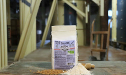 Moulins de Versailles - Farine De Petit Epeautre Intégrale Bio - 500g