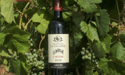 Domaine la Paganie - Vin rouge de Cahors élevé en Barrique - L'Origine 2020 - 1 bouteille