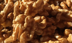 La Noyeraie des Borderies - Cerneaux de Noix Bio Extra (entiers et écornés)  RÉCOLTE 2025