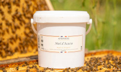 Apisphère - Miel d'acacia seau 1,5kg