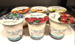 Ferme Joos - Yaourts de brebis aux fruits (dont framboise) - Lot de 6
