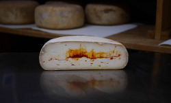 Alléosse Maitre Artisan Affineur Fromager - Tomme Espelette