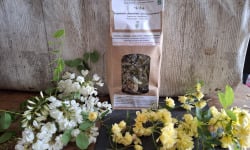 La Ferme du Montet - Eupatoire Chanvrine - partie aérienne fleurie -Eupatorium cannabinum - 30g