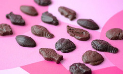 Maison Le Roux - #02 La Friture Praliné