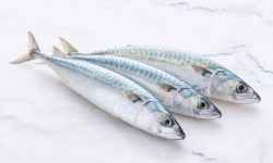Poissonnerie La Piriacaise - Maquereaux - 500g