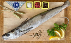 La Criée d'à Côté - Merlu vidé 1,4 à 1,6 kg