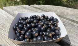 Ferme Sinsac - cassis en barquettes de 125 grs
