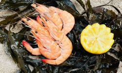 SARL O GRE DES VENTS - Crevettes Equateur 400g