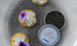 Caviar de l'Isle - Caviar Beluga 30g - Caviar de l'Isle