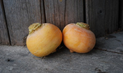 La Boite à Herbes - Navet Boule D'or - 500g