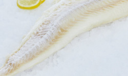 Poissonnerie La Piriacaise - Filet de Morue Salée sans peau