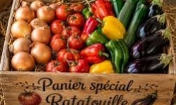 La Coussoyote - Panier ratatouille de septembre 5kg