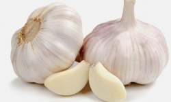 Des Poules et des Vignes à Bourgueil - Ail