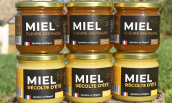 Merveille Apiculture - Duo Gourmand Fleurs Sauvages / Récolte D'été