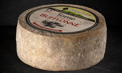 Les Affineurs des Volcans - Tome au Lait de Bufflonne Entier 2,5 kg