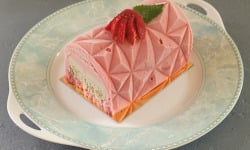 Le Jardinier Glacier - BUCHE GLACEE FRAISE/PISTACHE 4 A 6 PERS